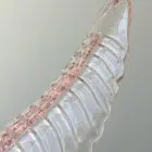 Murano Chandelier Felci Pink Cherry Vintage Interior-4