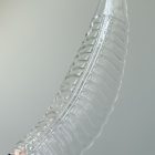 Murano Chandelier Felci Transparent Cherry Vintage Interior-3