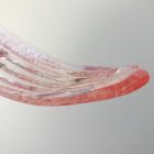Pink Palmette murano glass murano chandelier cherry vintage interior-2